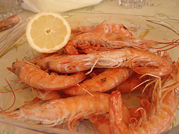 070801_09.jpg