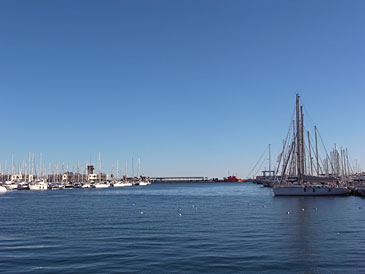 100204_01.jpg