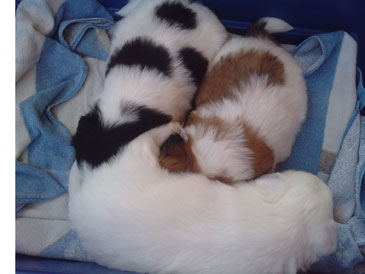 100509_06.jpg