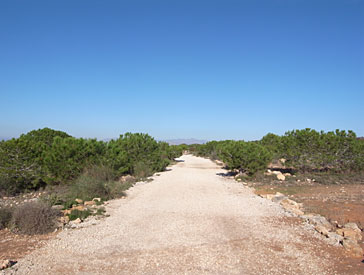 111205_01.jpg